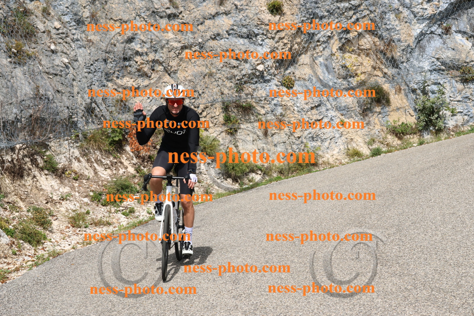 Col du Grand Colombier (587).JPG