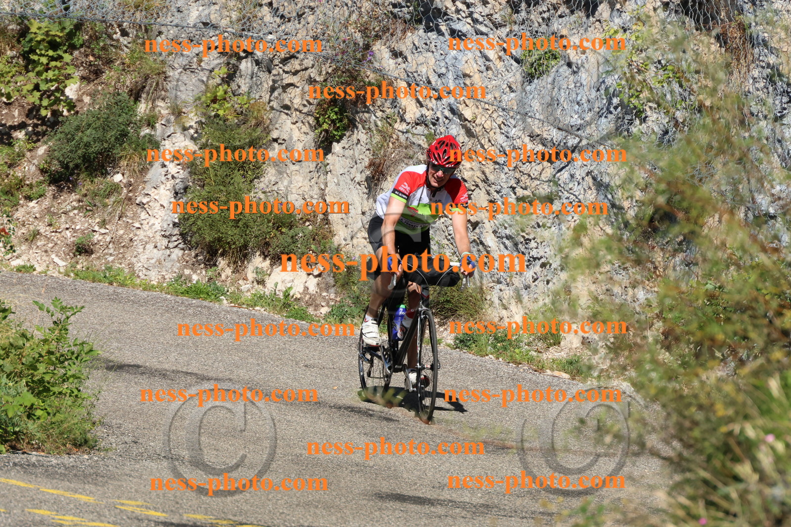 Col du Grand Colombier (184).JPG