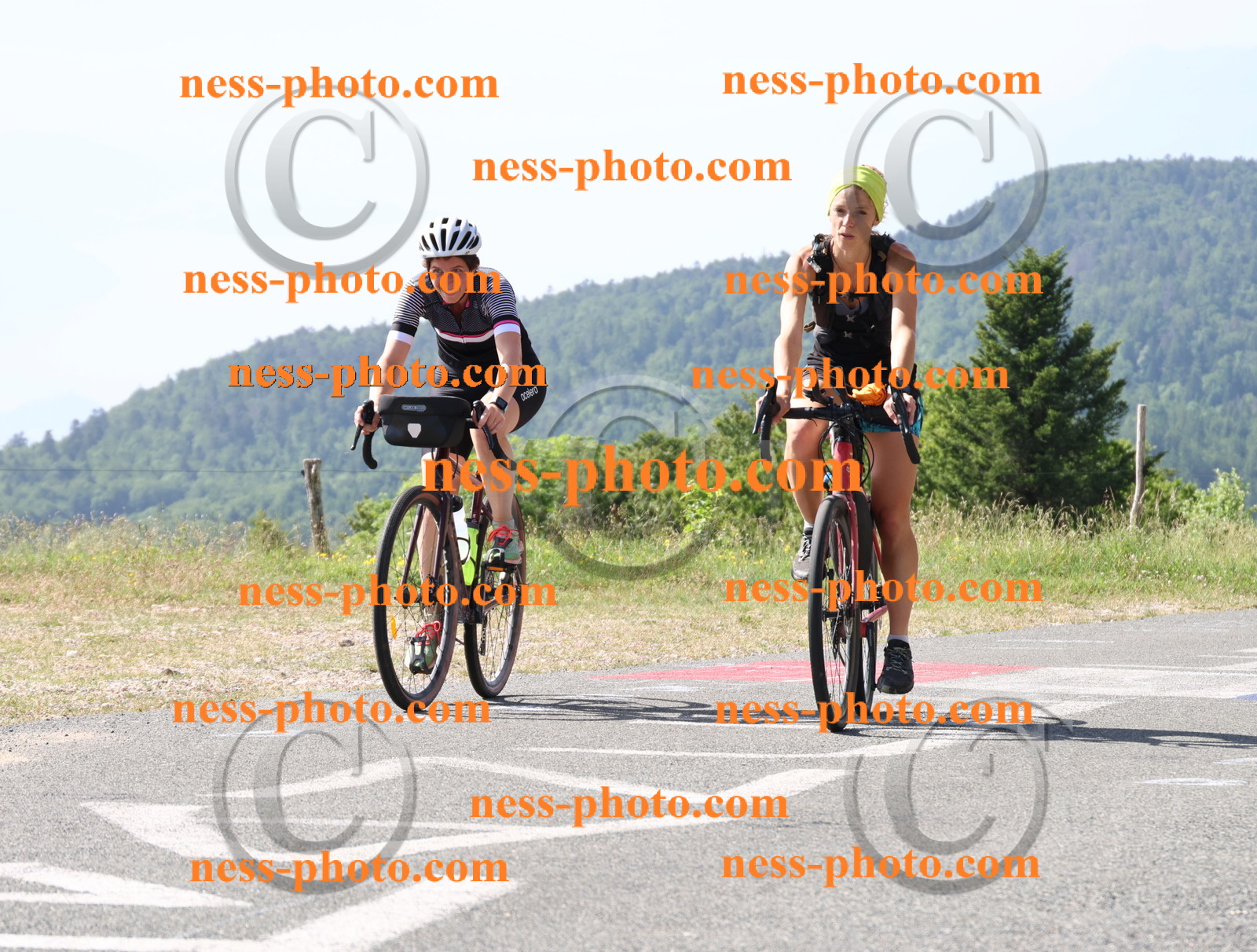 Col du grand Colombier (471).JPG