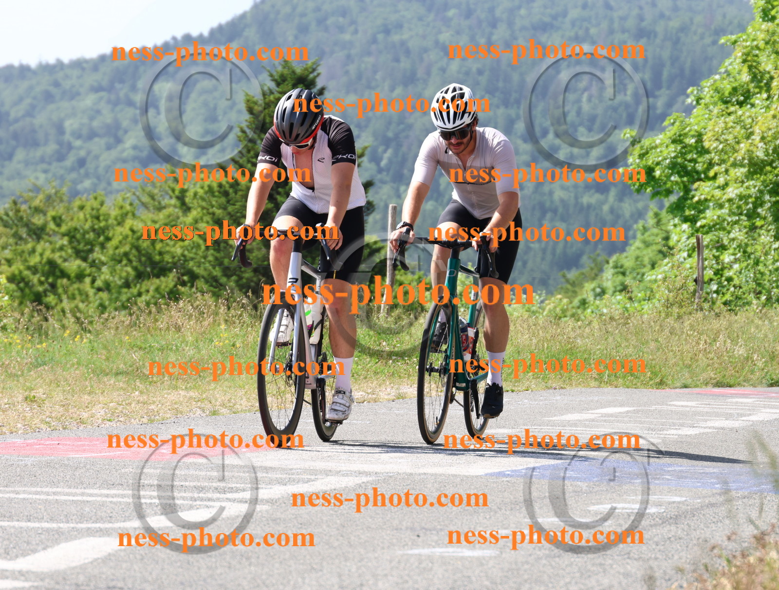 Col du grand Colombier (1018).JPG