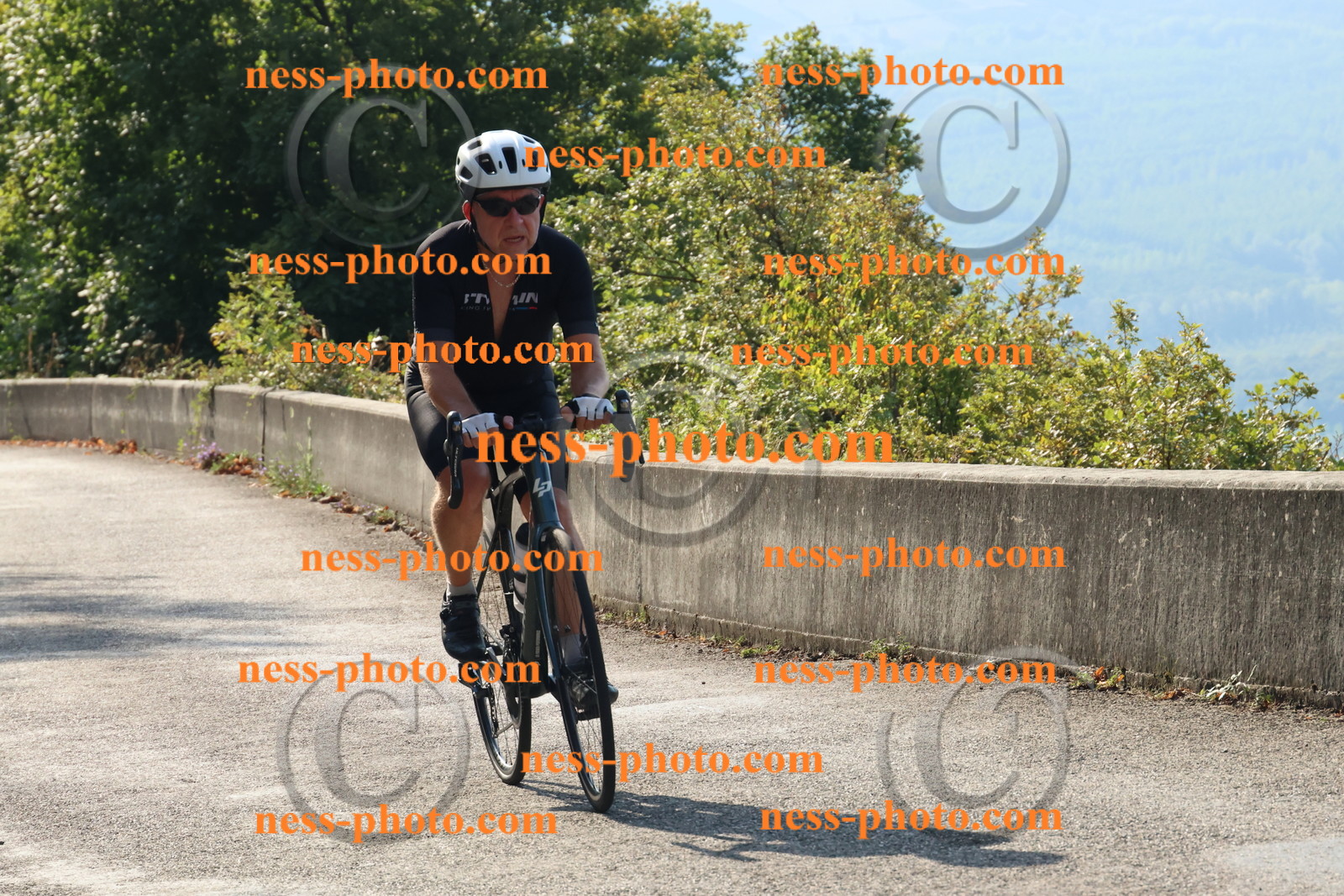 Col du Grand Colombier (745).JPG