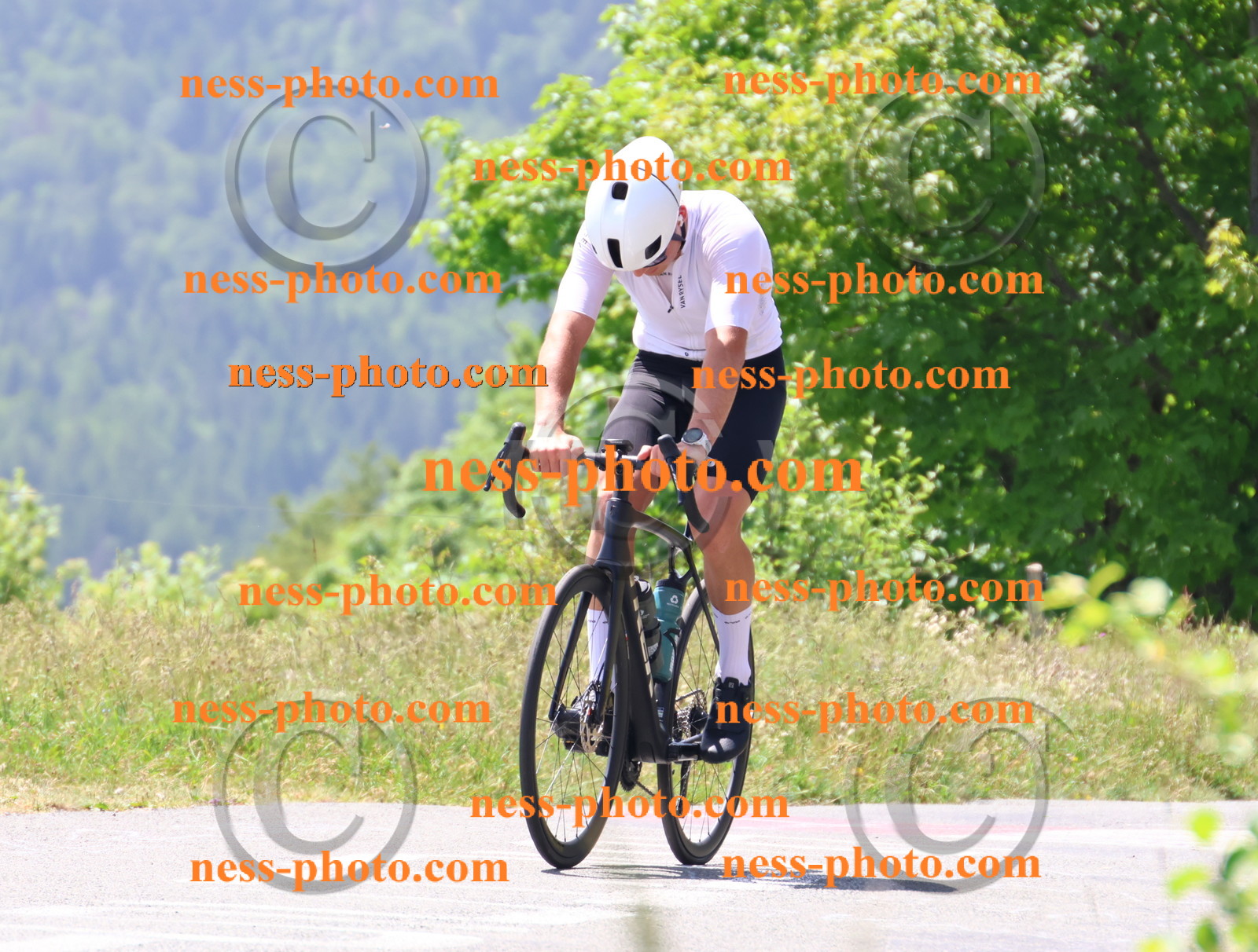 Col du grand Colombier (2483).JPG