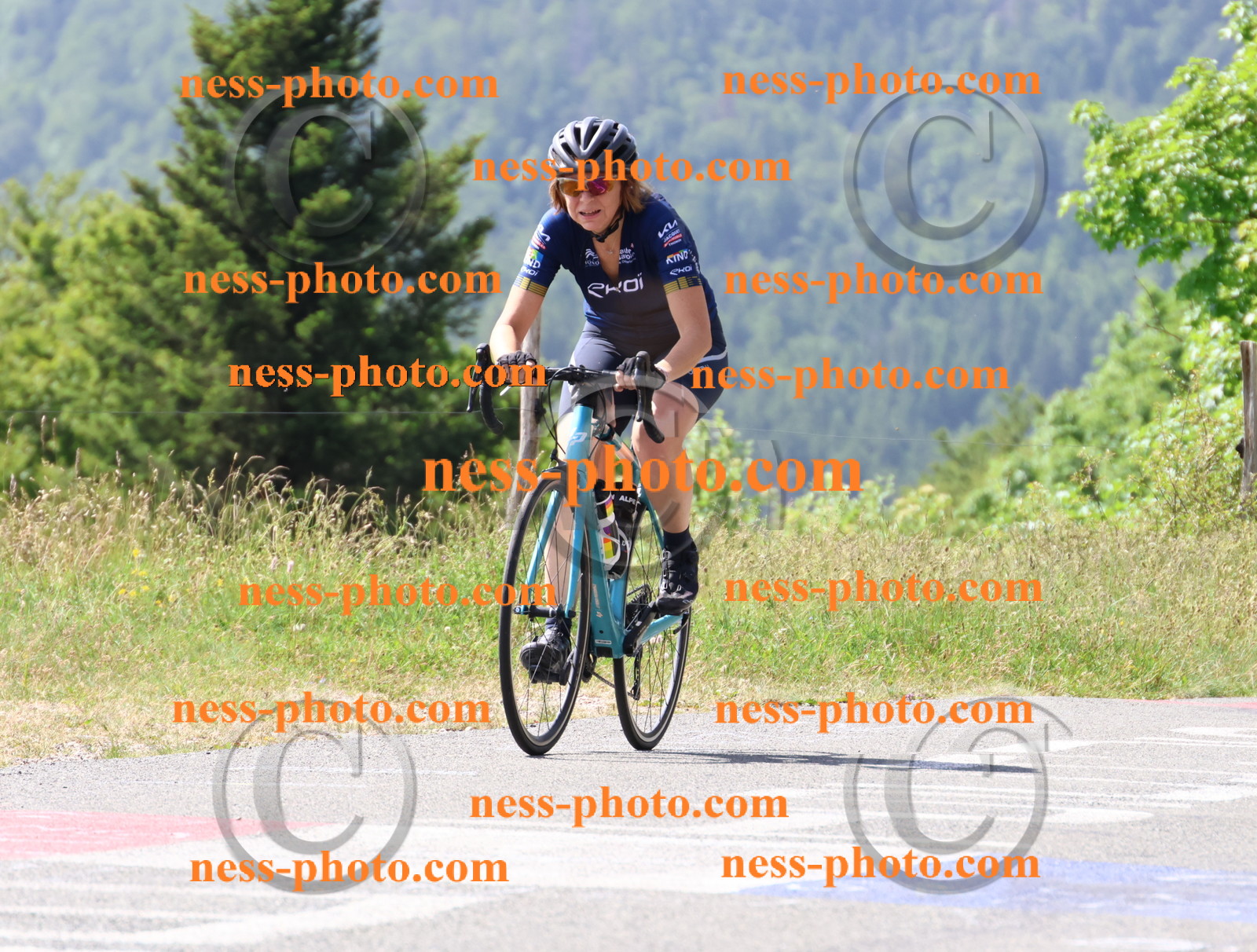 Col du grand Colombier (1279).JPG