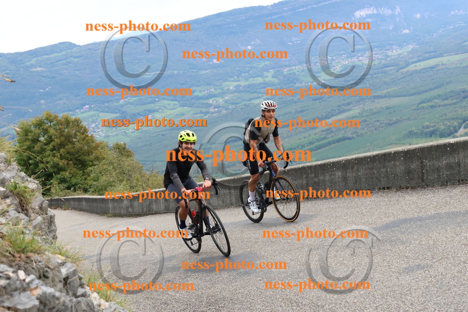 Col du Grand Colombier (2215).JPG