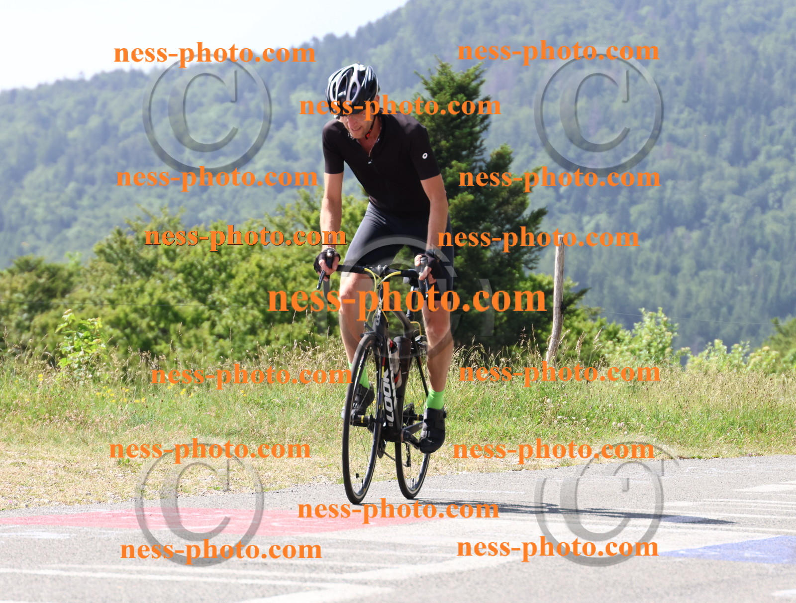 Col du grand Colombier (847).JPG