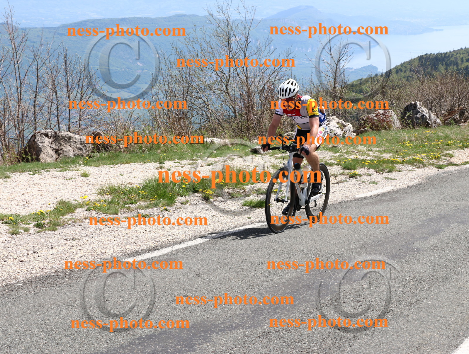 Col du Grand Colombier (854).JPG