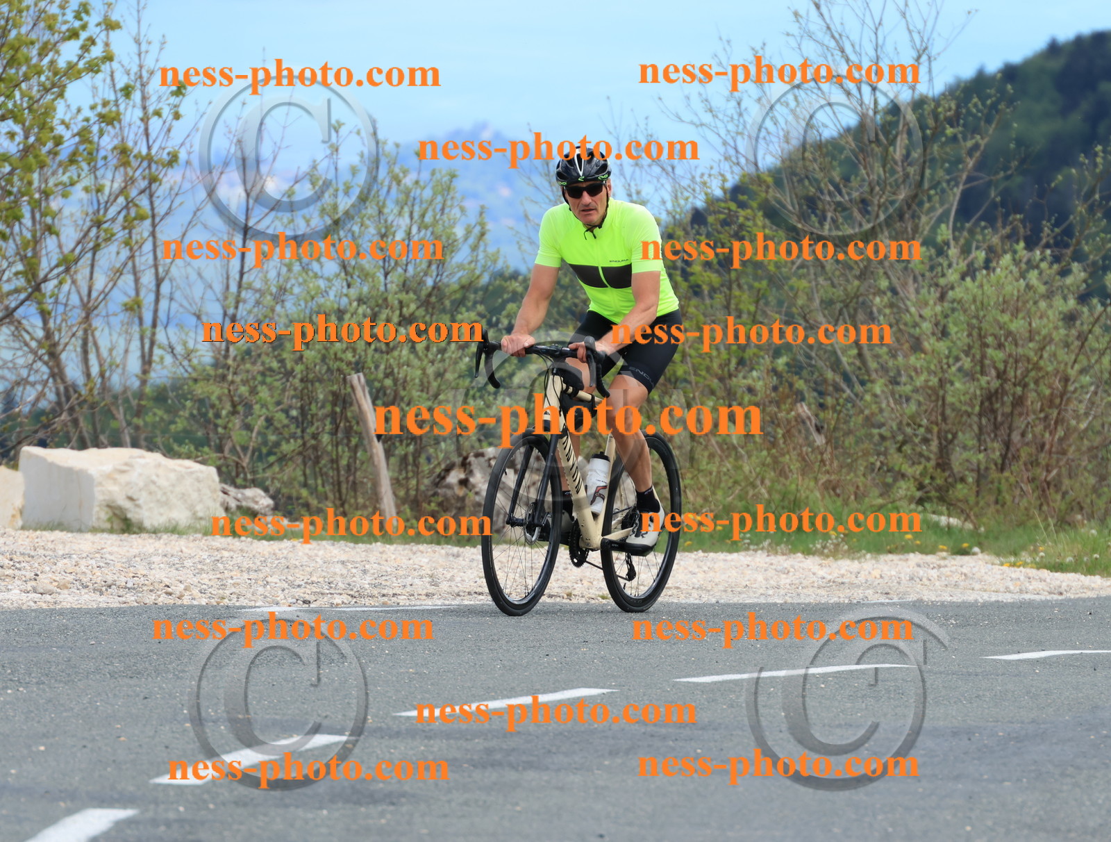 Col du grand Colombier (665).JPG