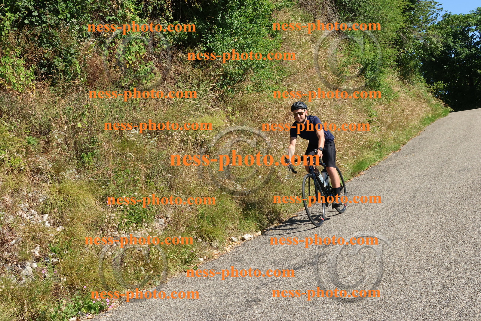 Col du Grand Colombier (181).JPG