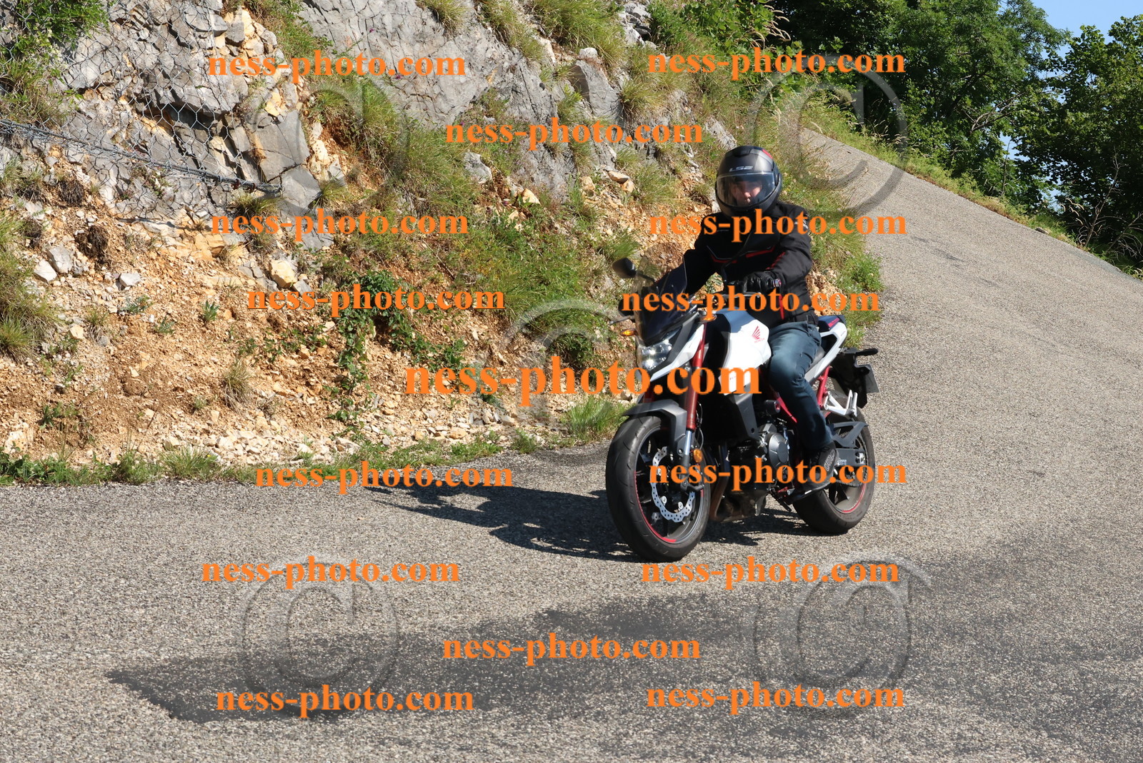 Col du Grand Colombier (55).JPG