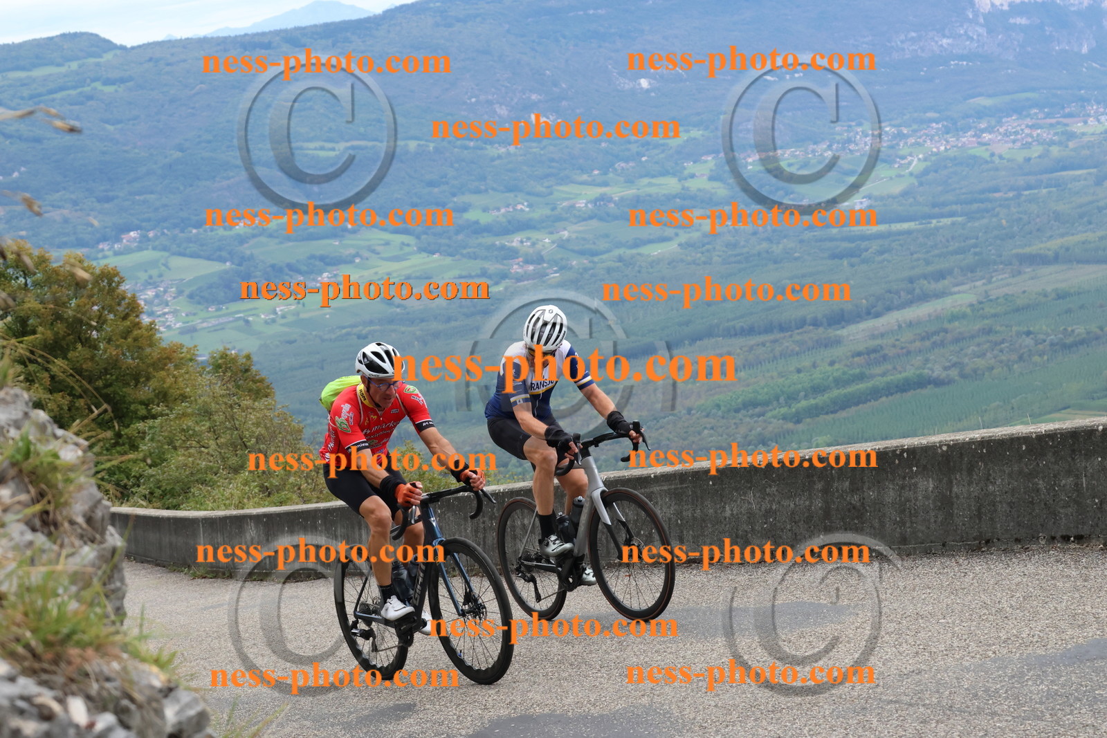 Col du Grand Colombier (1364).JPG