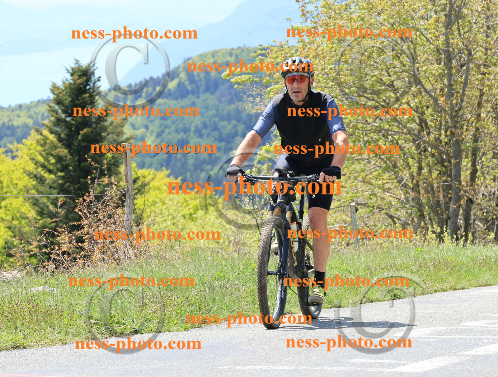 Col du Grand Colombier (166).JPG