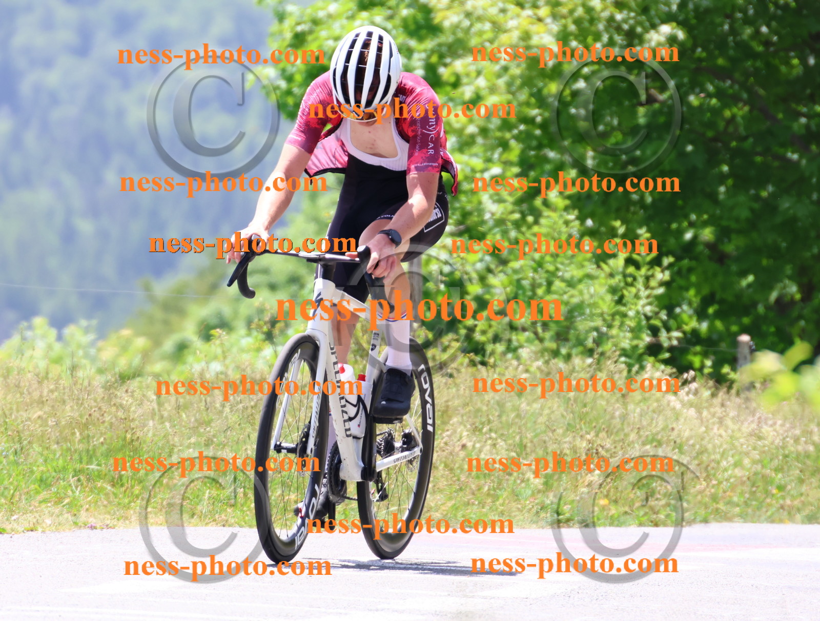 Col du grand Colombier (2730).JPG