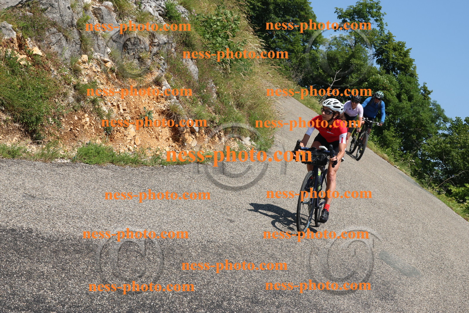 Col du Grand Colombier (494).JPG