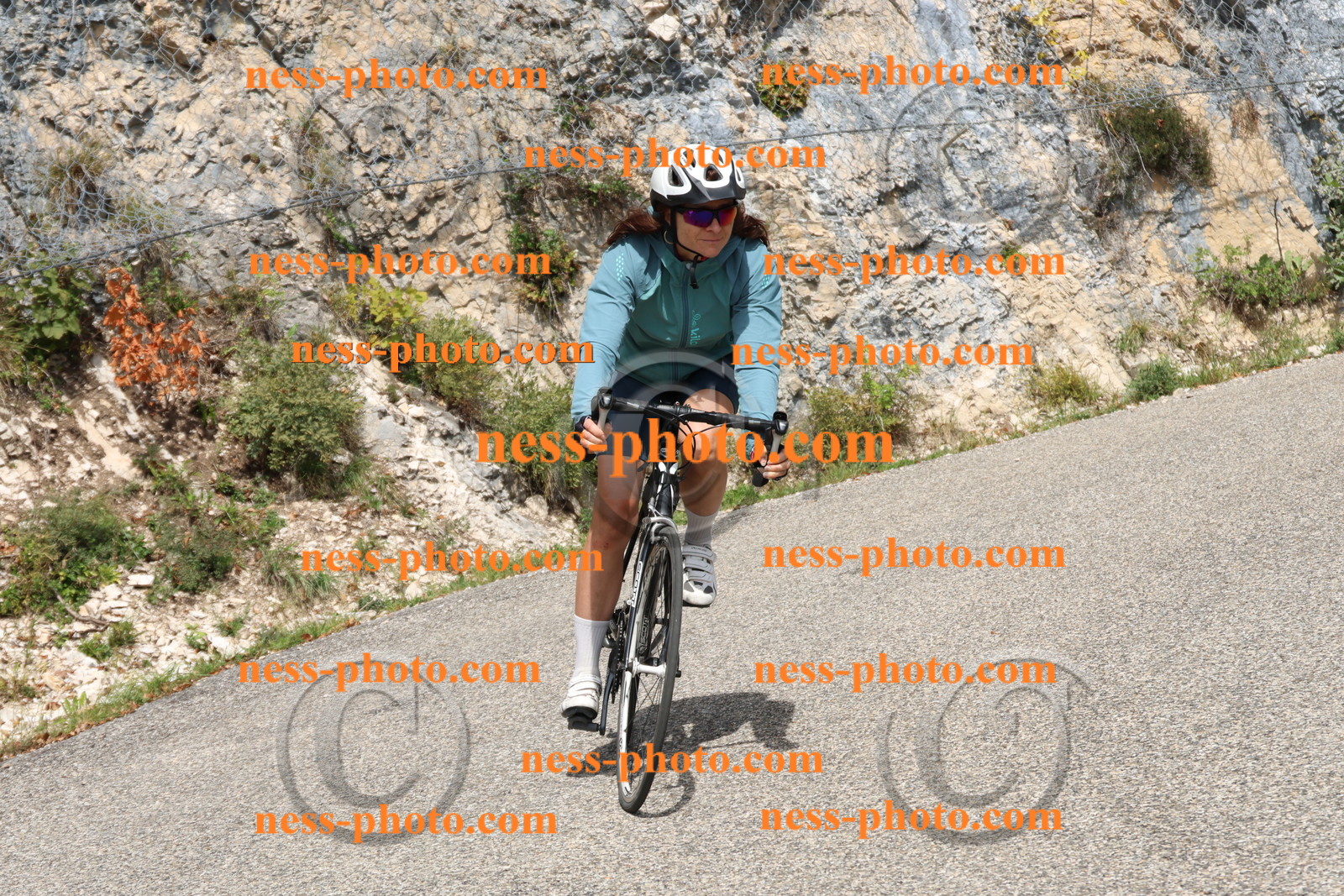 Col du Grand Colombier (581).JPG