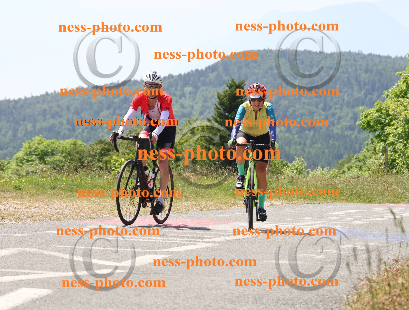 Col du grand Colombier (2287).JPG