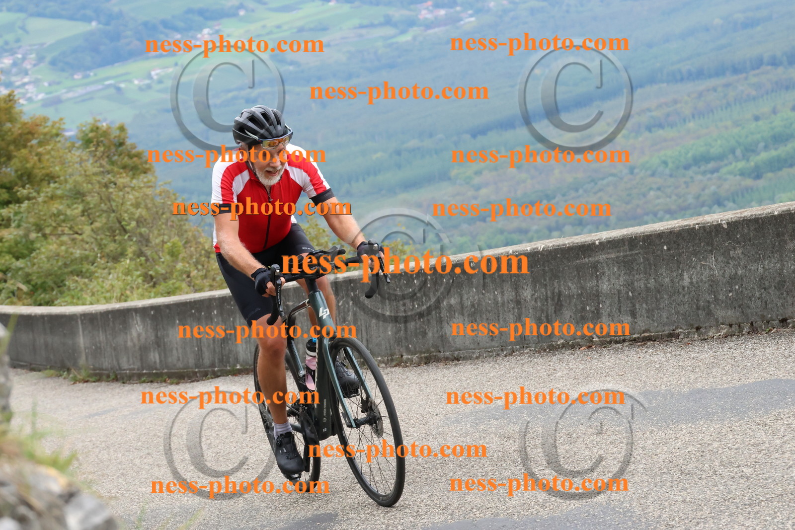 Col du Grand Colombier (1131).JPG