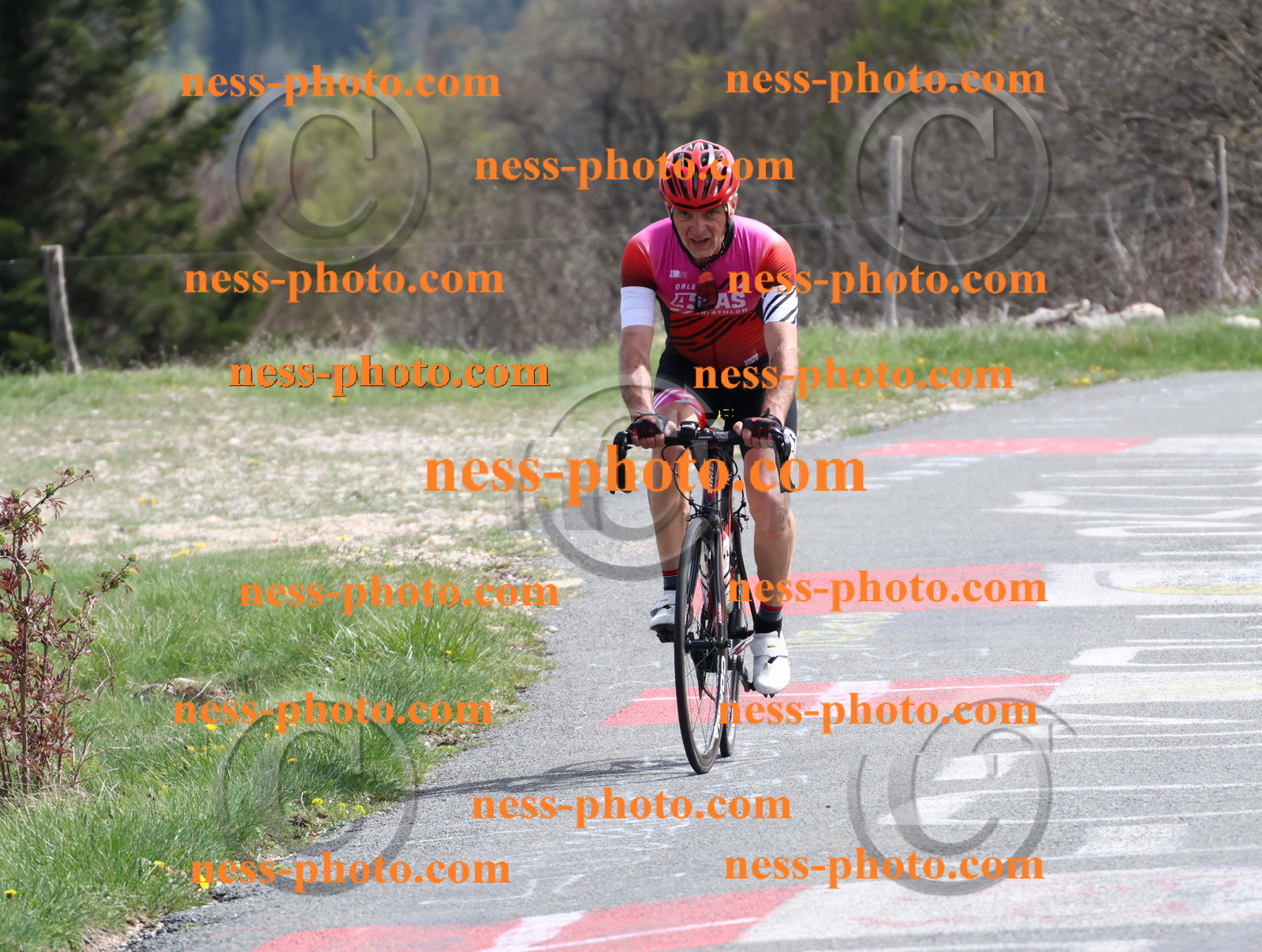 Col du Grand Colombier (1017).JPG