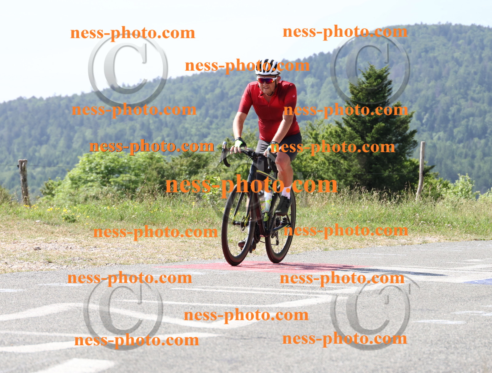 Col du grand Colombier (788).JPG