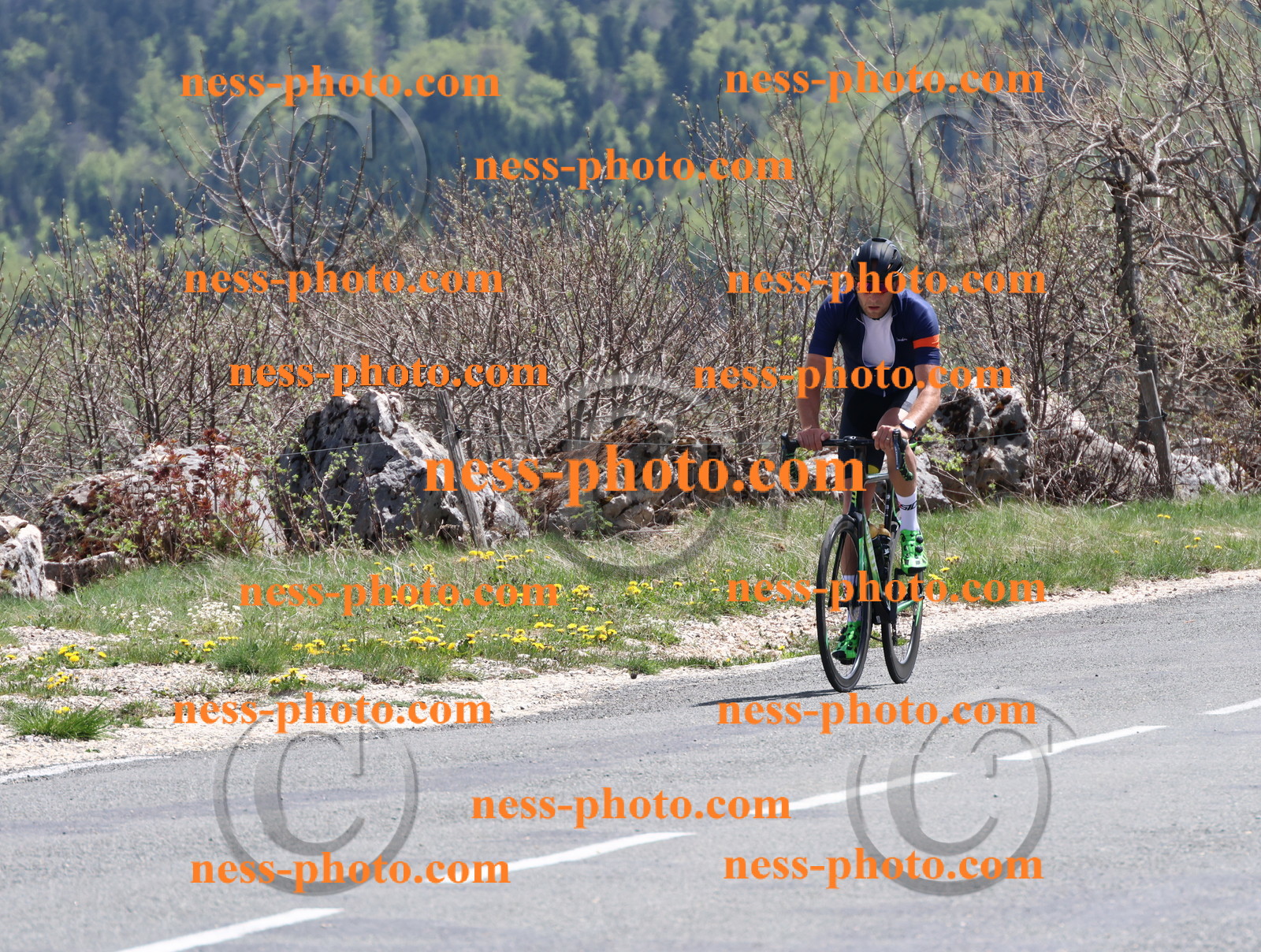 Col du Grand Colombier (809).JPG