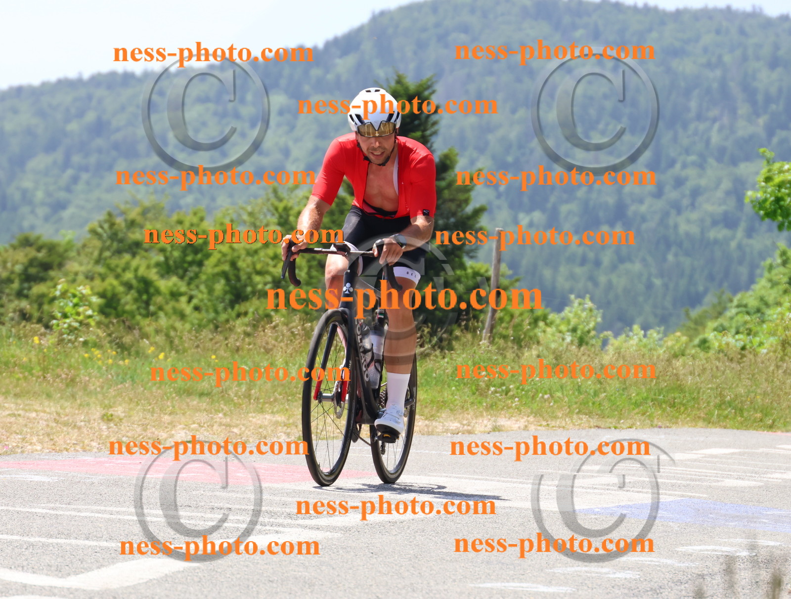 Col du grand Colombier (2520).JPG