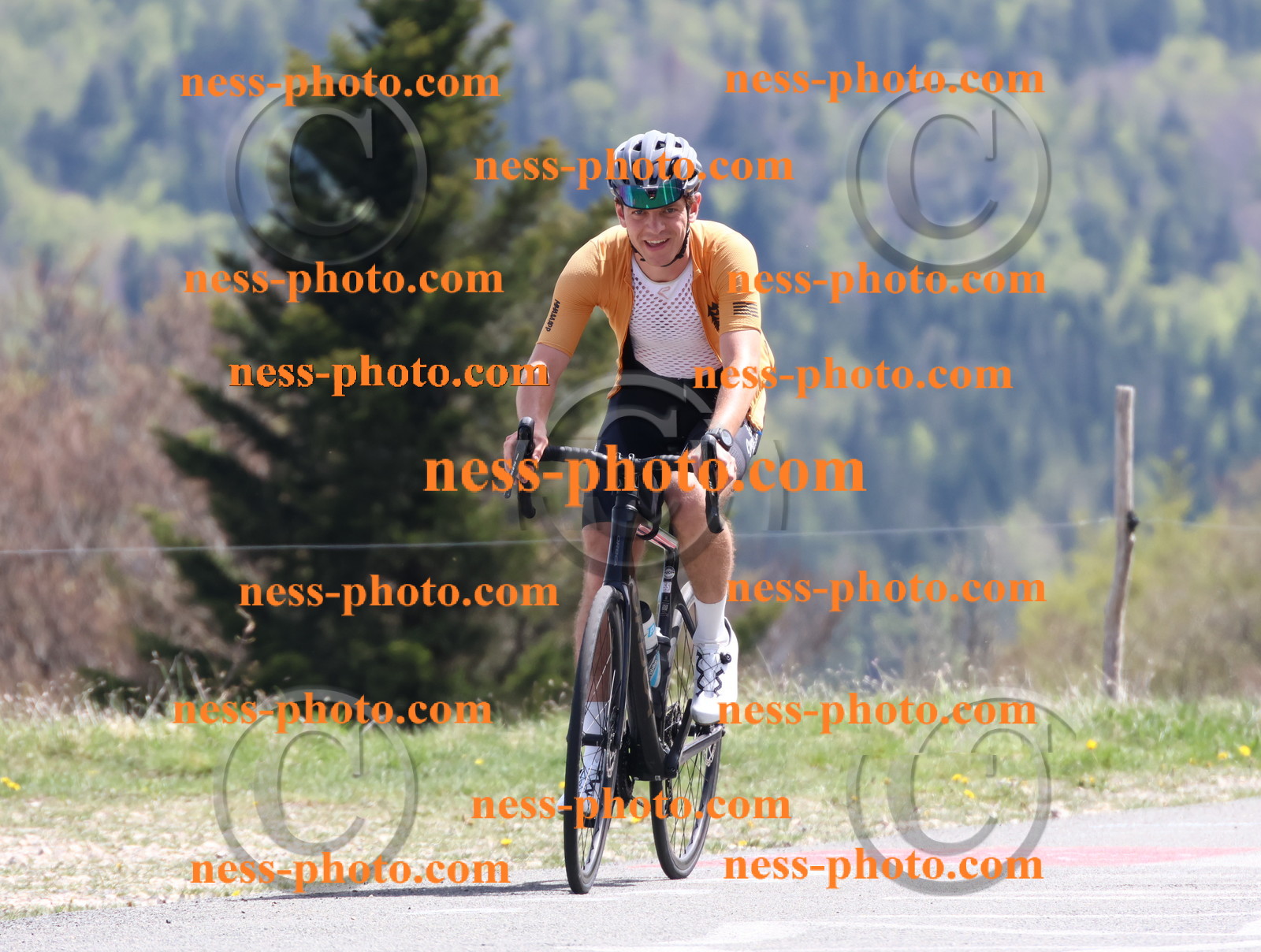 Col du Grand Colombier (939).JPG