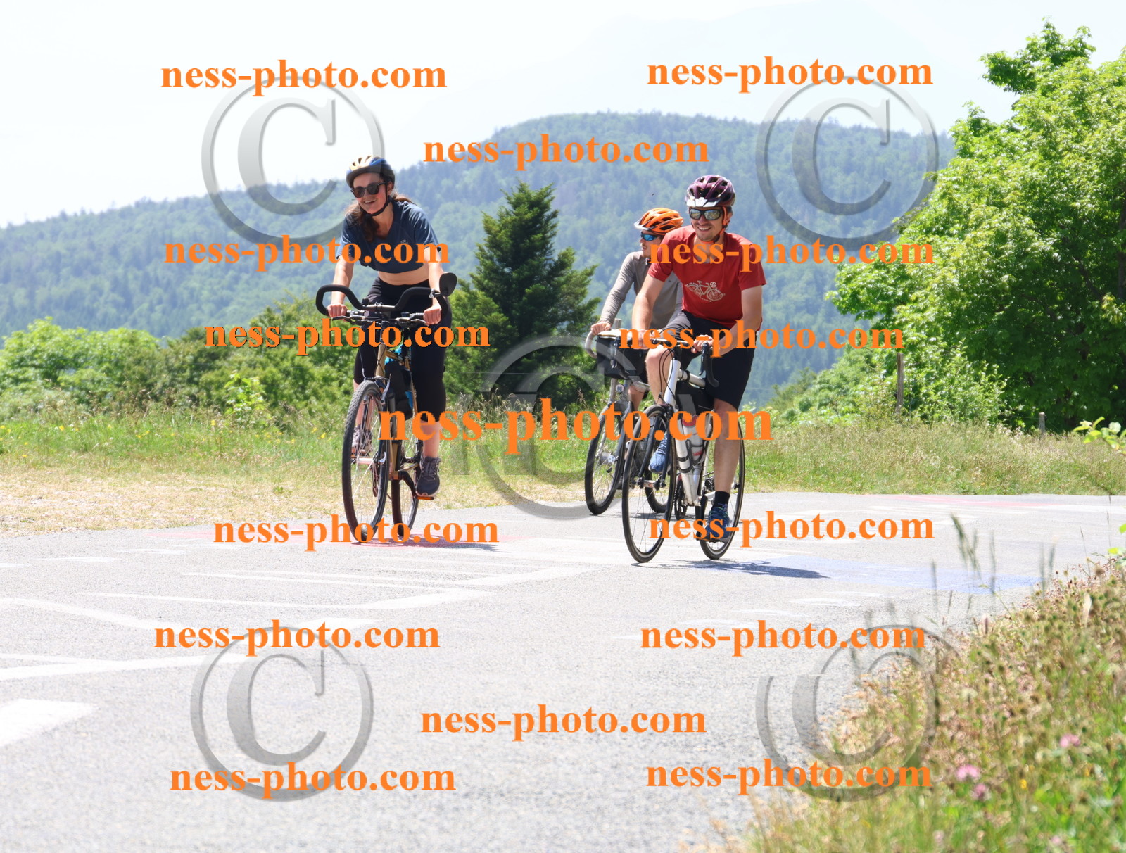 Col du grand Colombier (2621).JPG