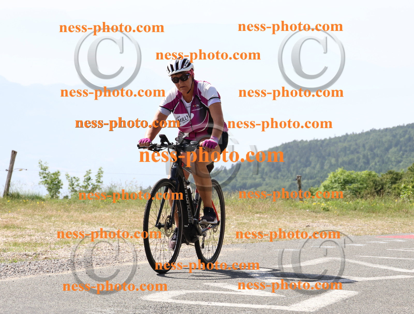 Col du grand Colombier (776).JPG