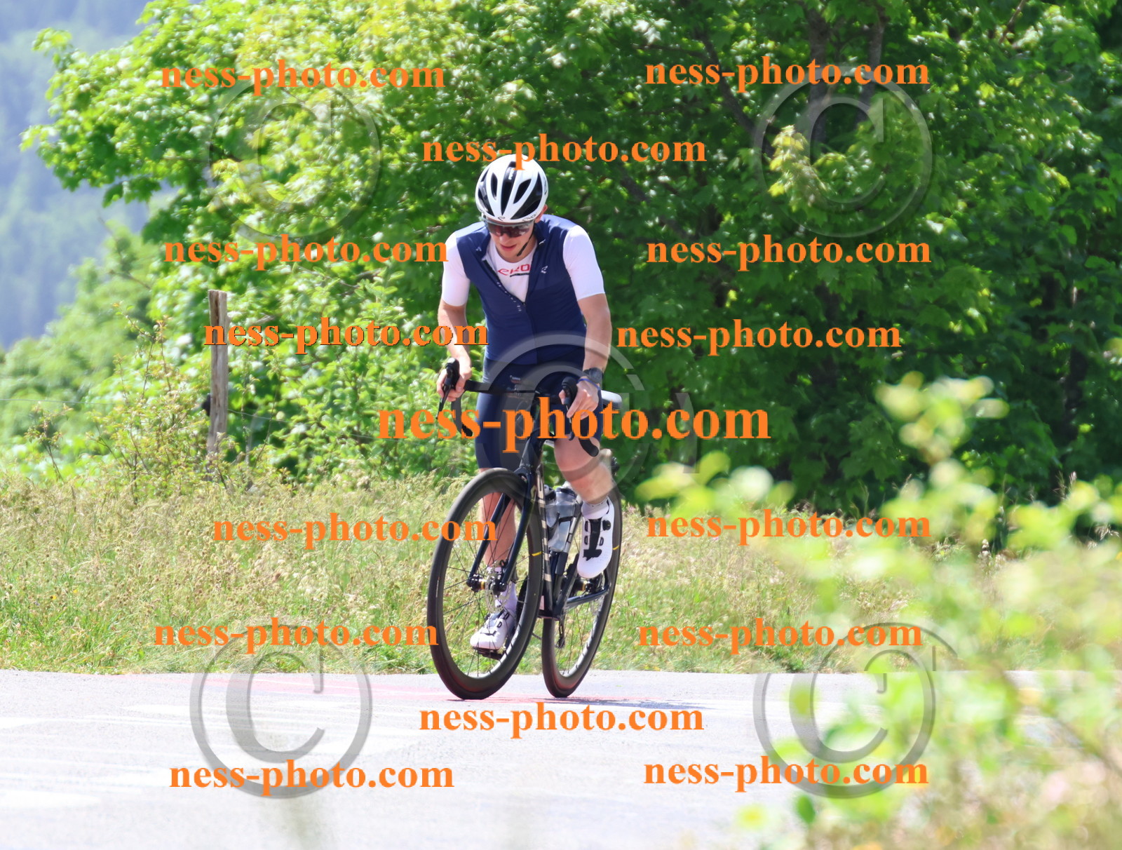 Col du grand Colombier (2425).JPG