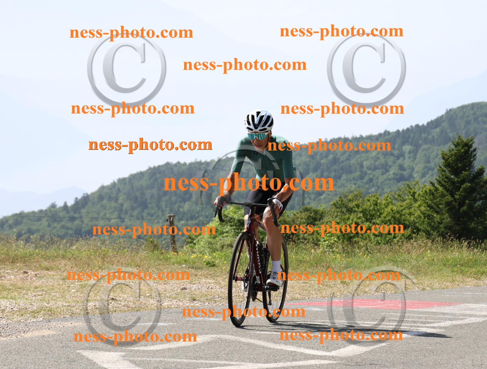 Col du grand Colombier (682).JPG