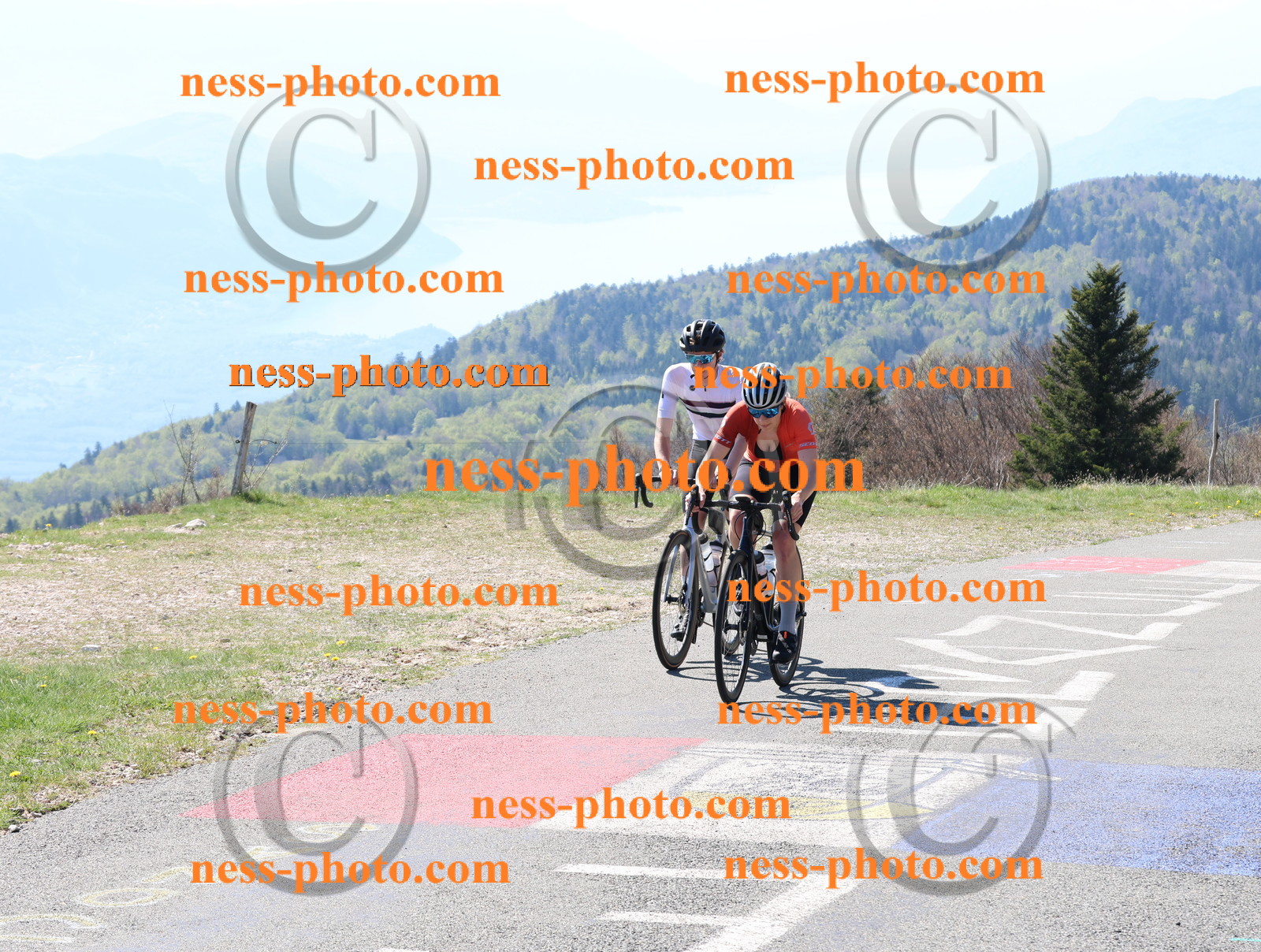 Col du Grand Colombier (64).JPG