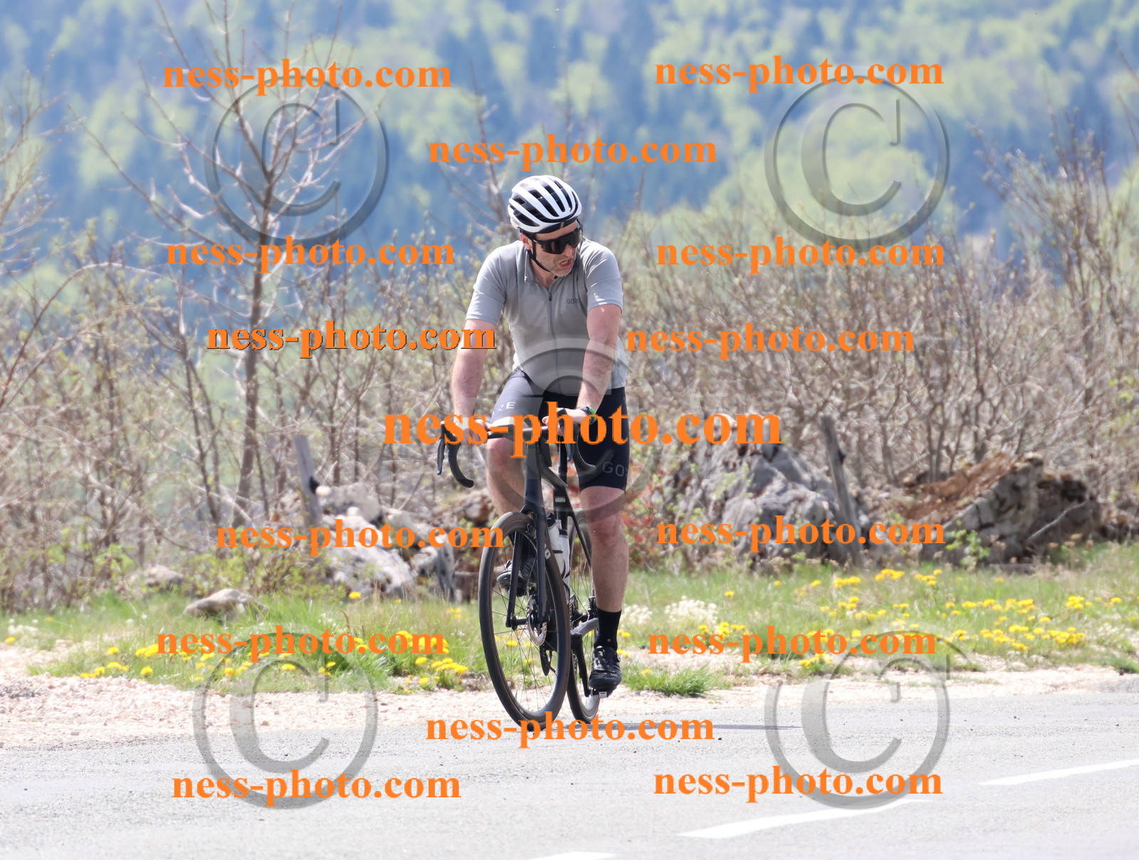 Col du Grand Colombier (31).JPG