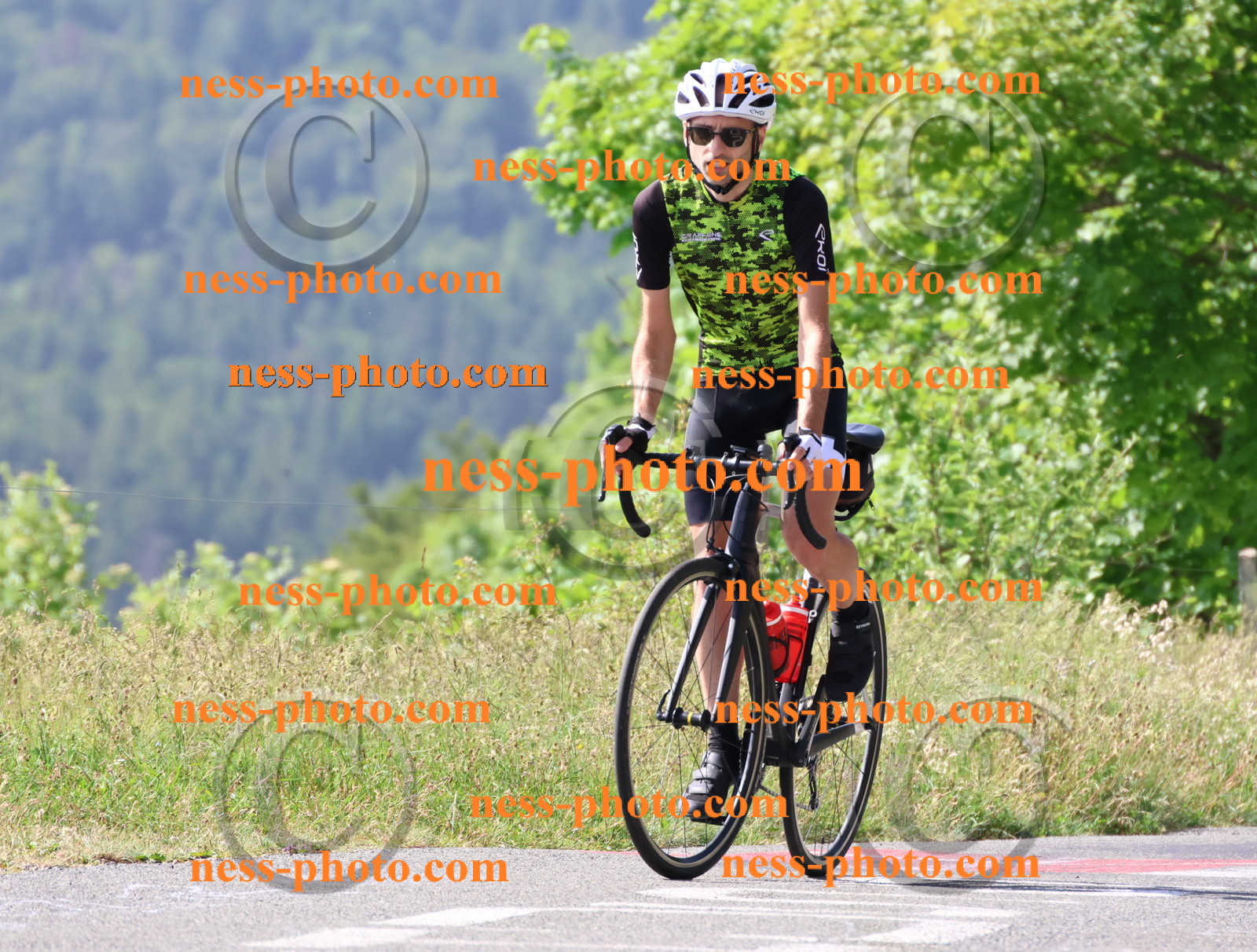 Col du grand Colombier (451).JPG