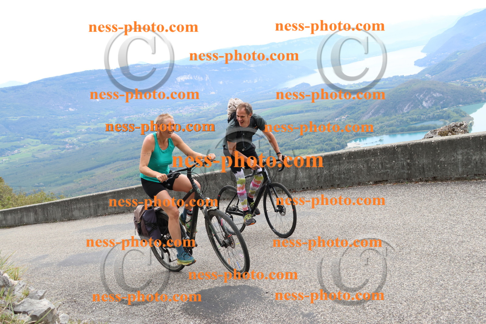 Col du Grand Colombier (2632).JPG