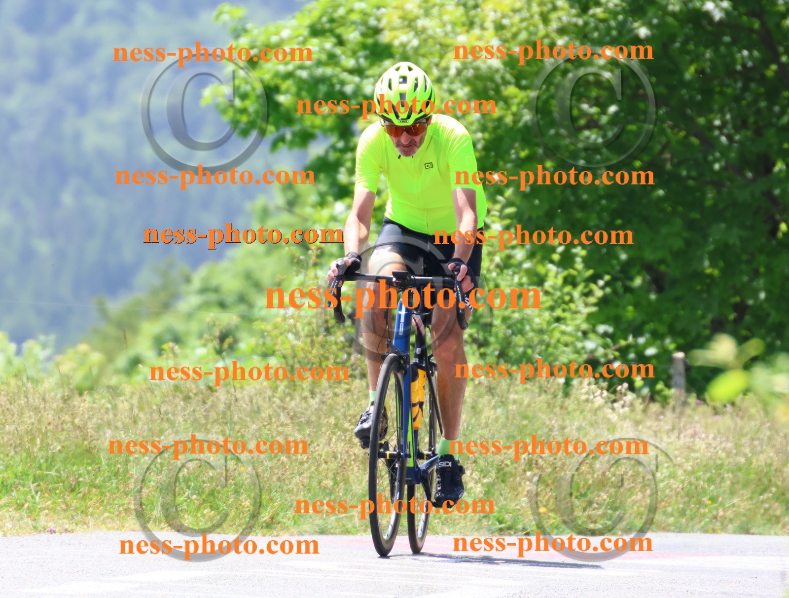 Col du grand Colombier (2397).JPG