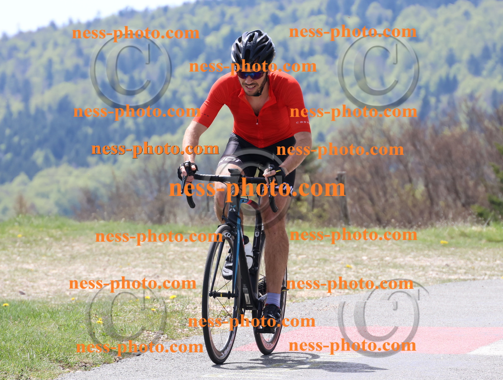 Col du Grand Colombier (83).JPG