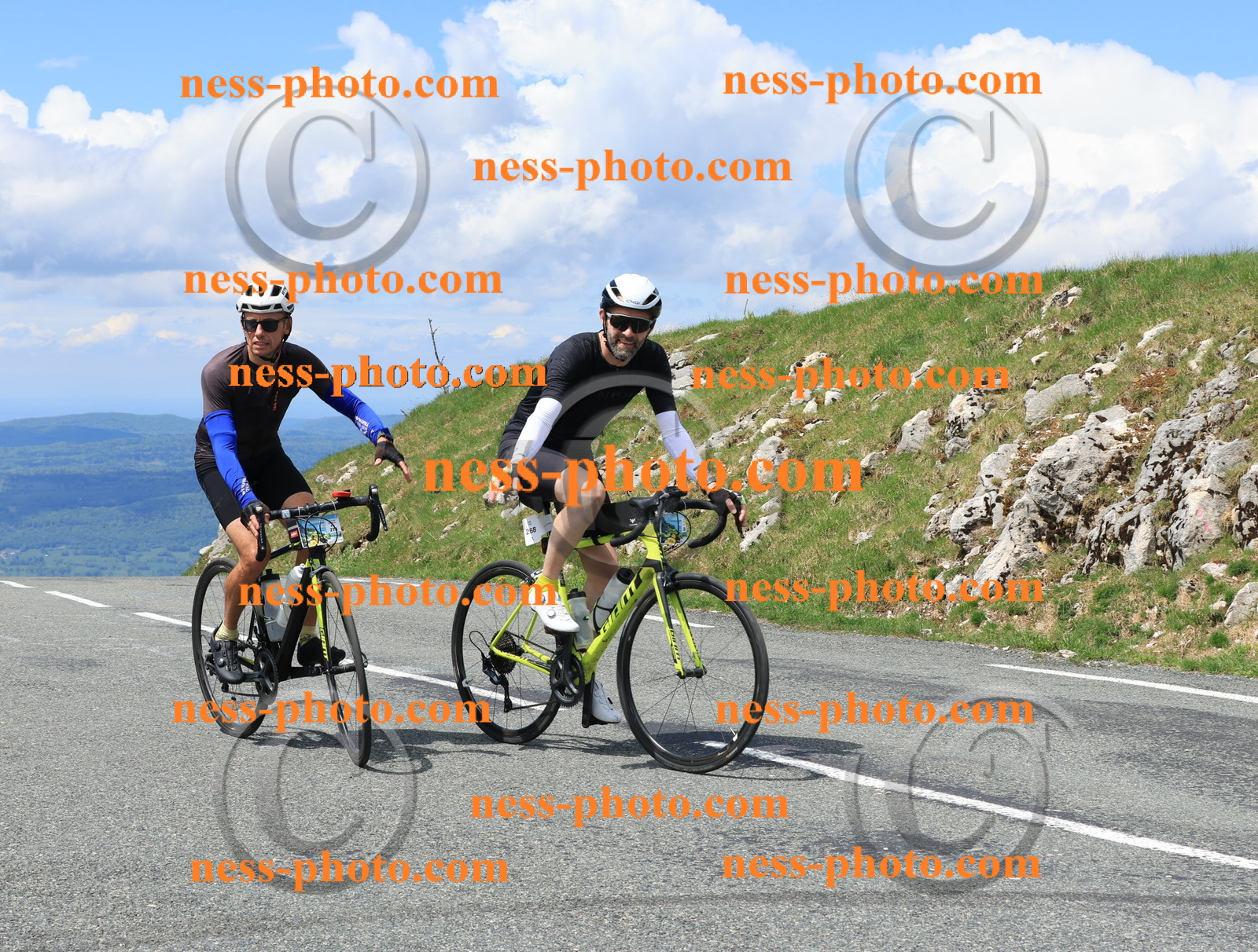 Col du Grand Colombier (2680).JPG