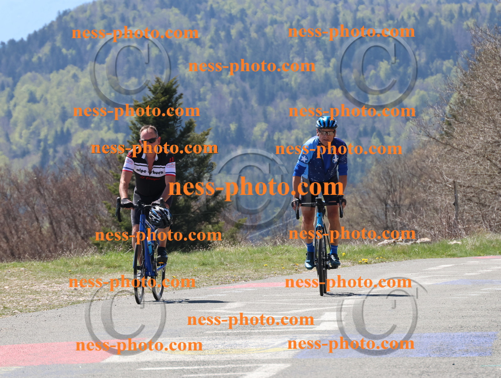 Col du Grand Colombier (247).JPG