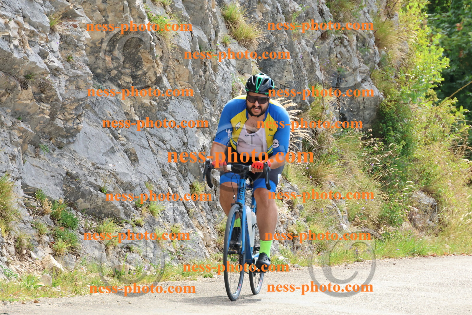 Col du Grand Colombier (90).JPG