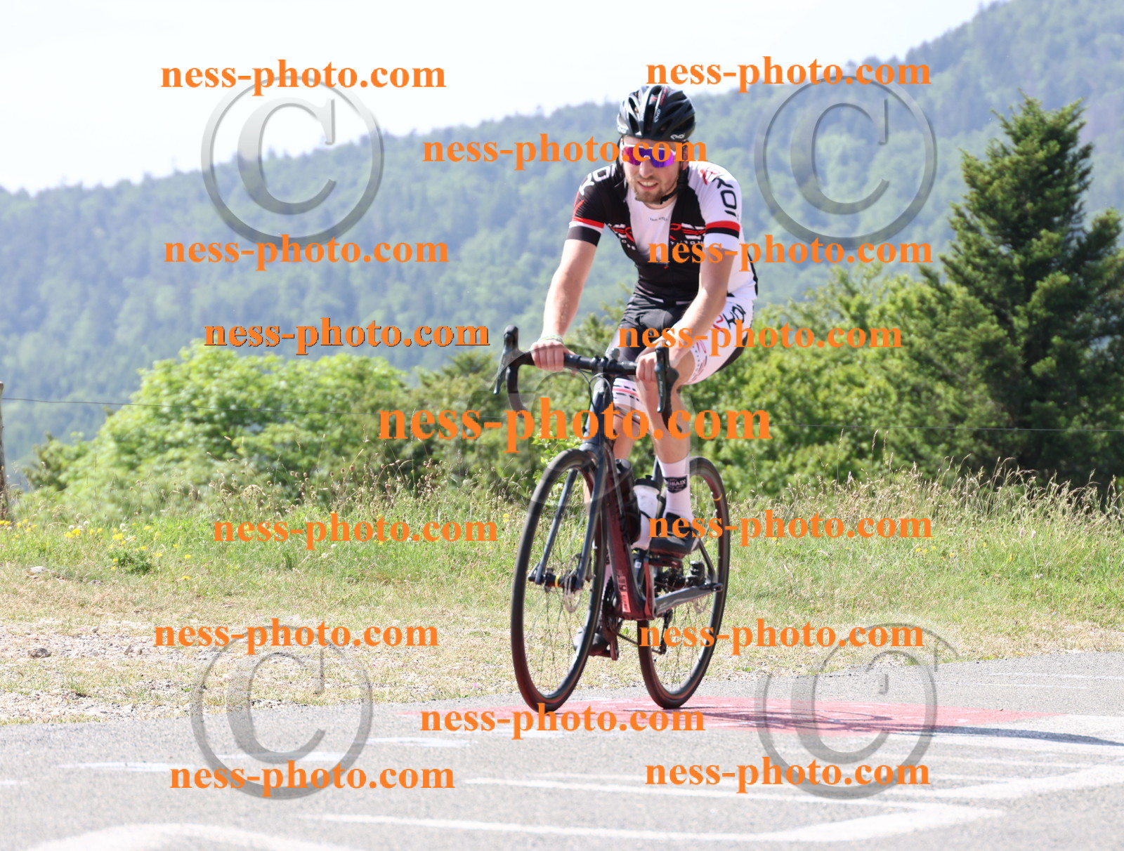 Col du grand Colombier (989).JPG