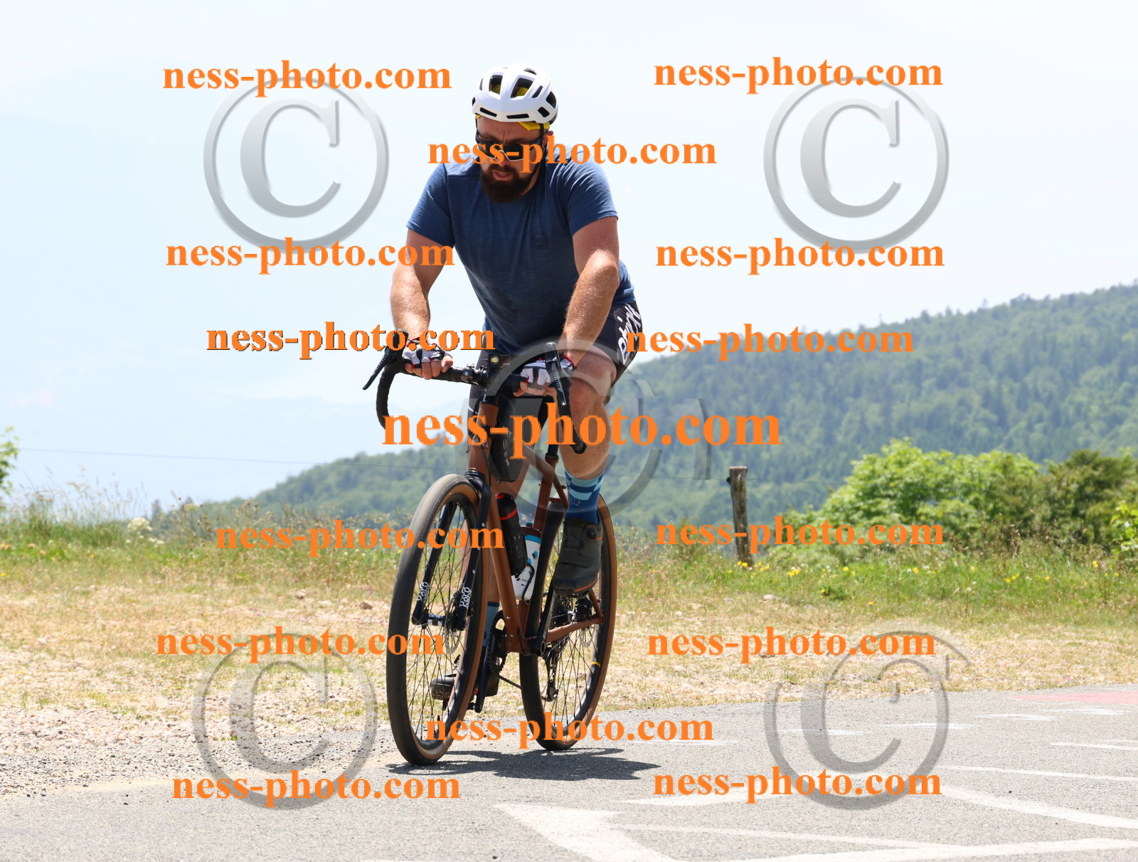 Col du grand Colombier (2776).JPG