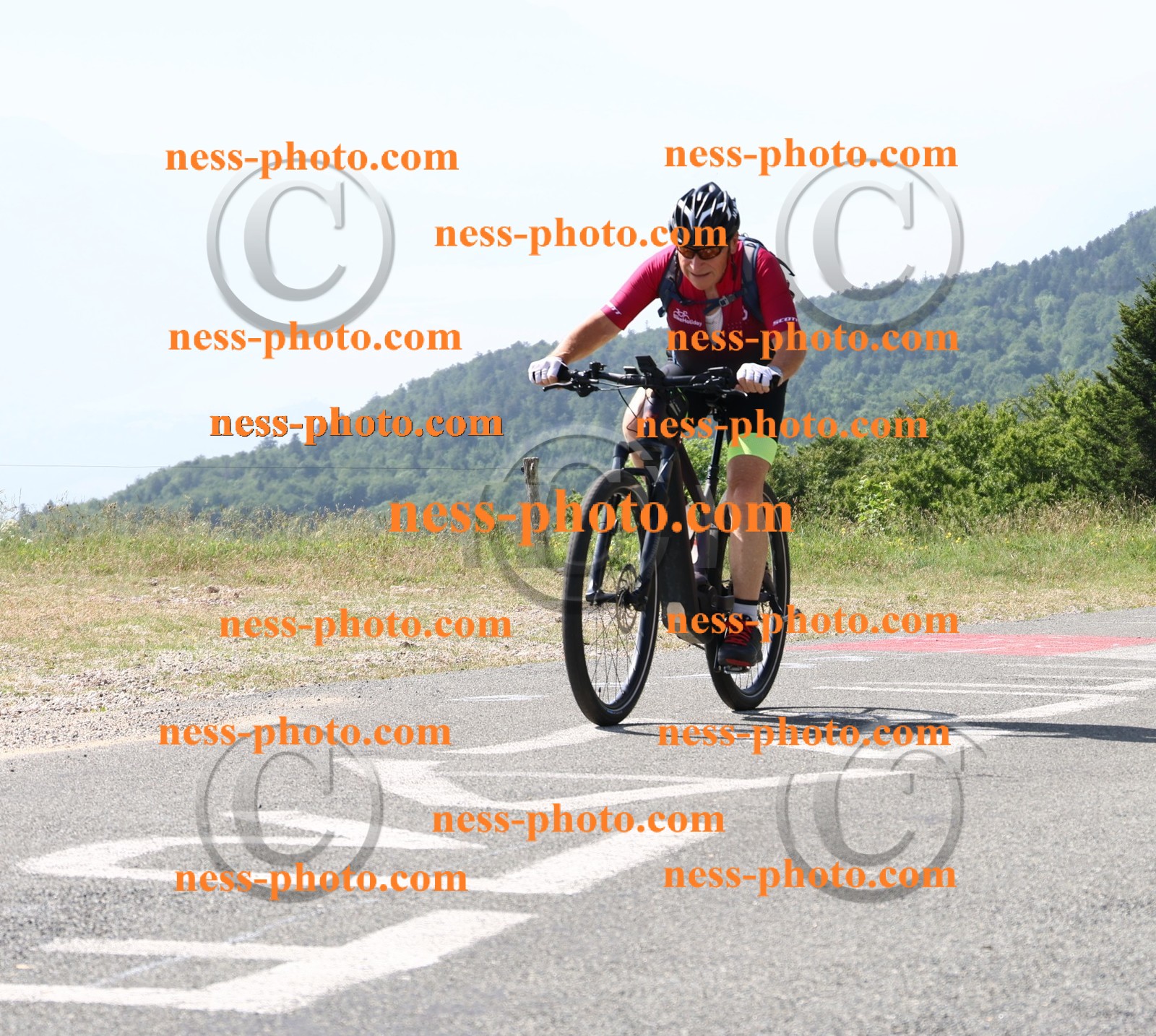 Col du grand Colombier (710).JPG