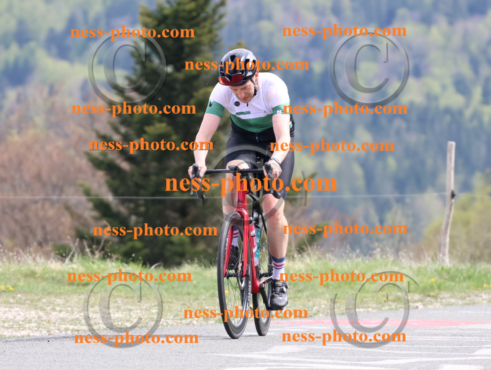 Col du Grand Colombier (1124).JPG