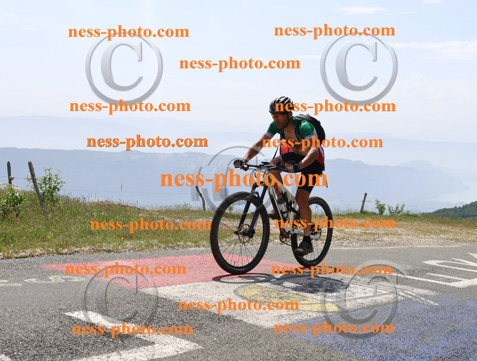 Col du grand Colombier (2044).JPG