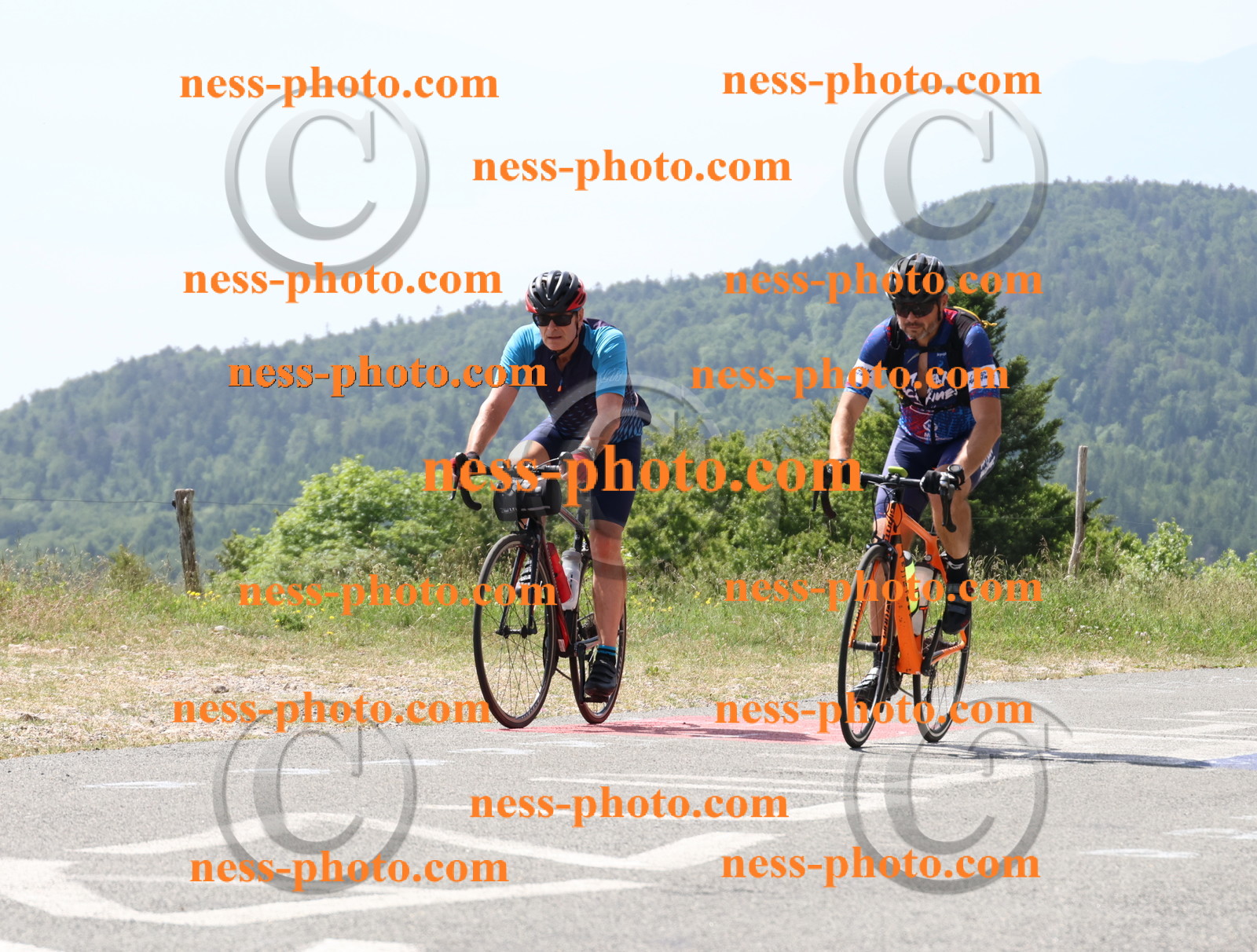 Col du grand Colombier (1658).JPG