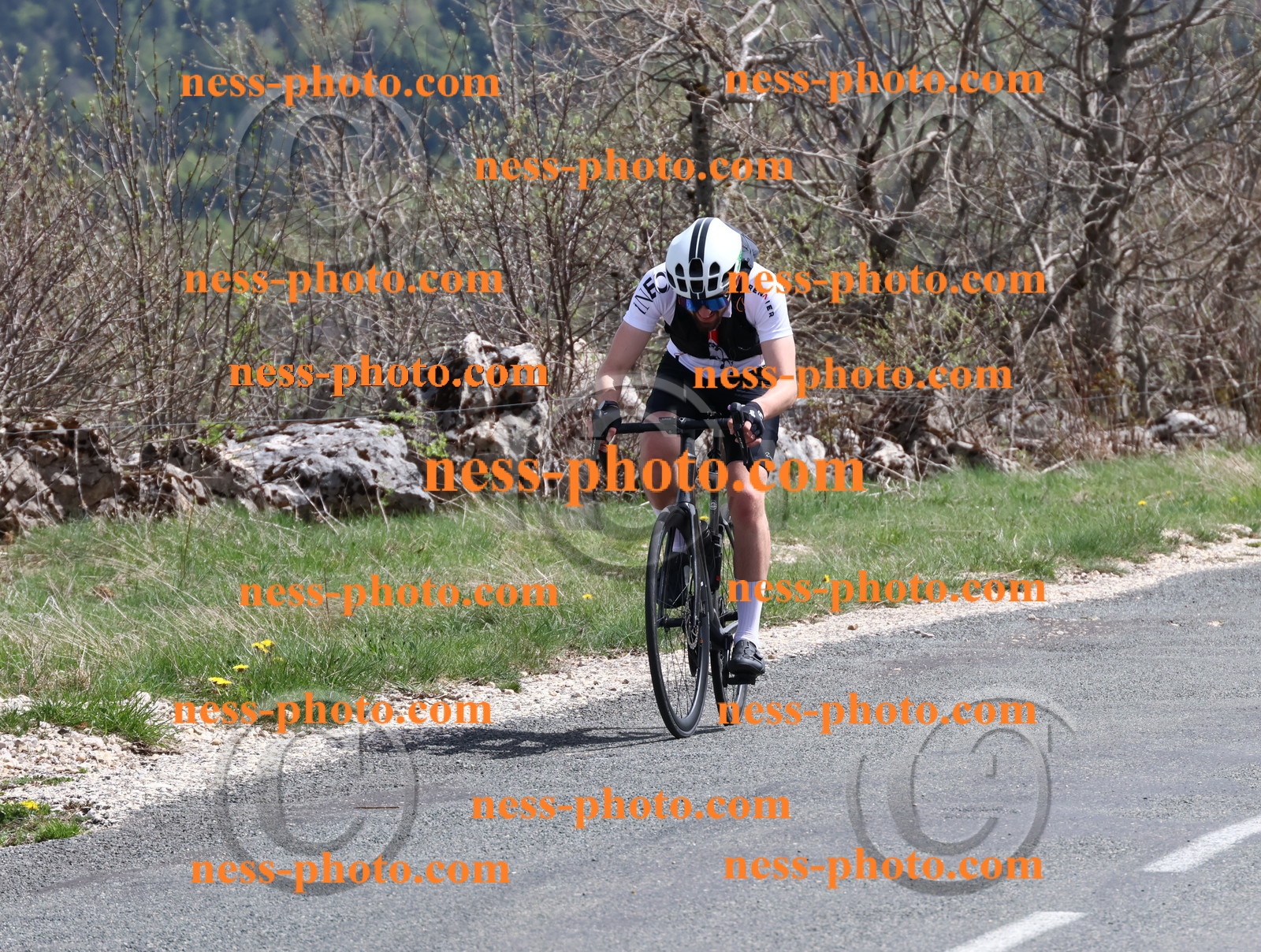 Col du Grand Colombier (1008).JPG