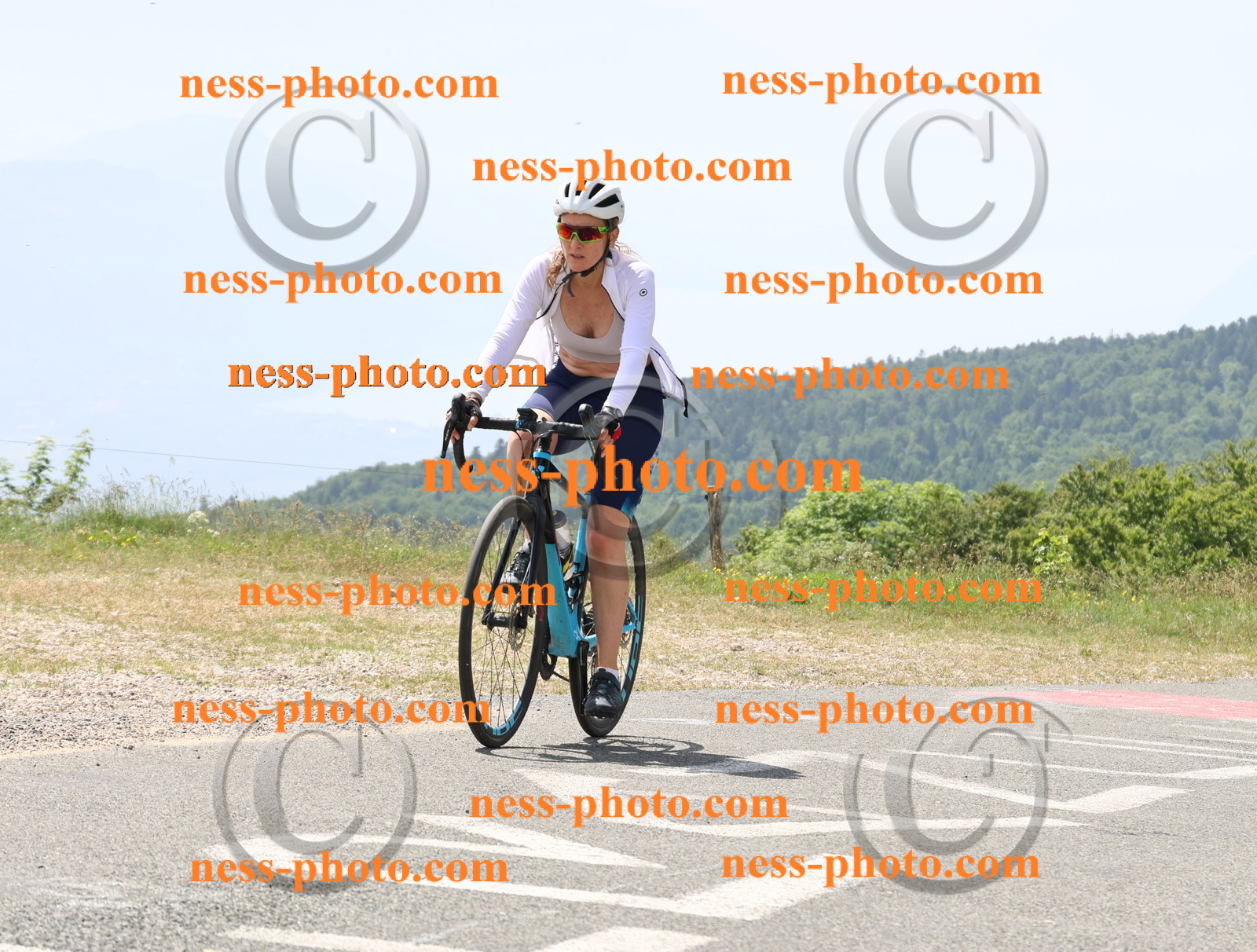 Col du grand Colombier (2008).JPG