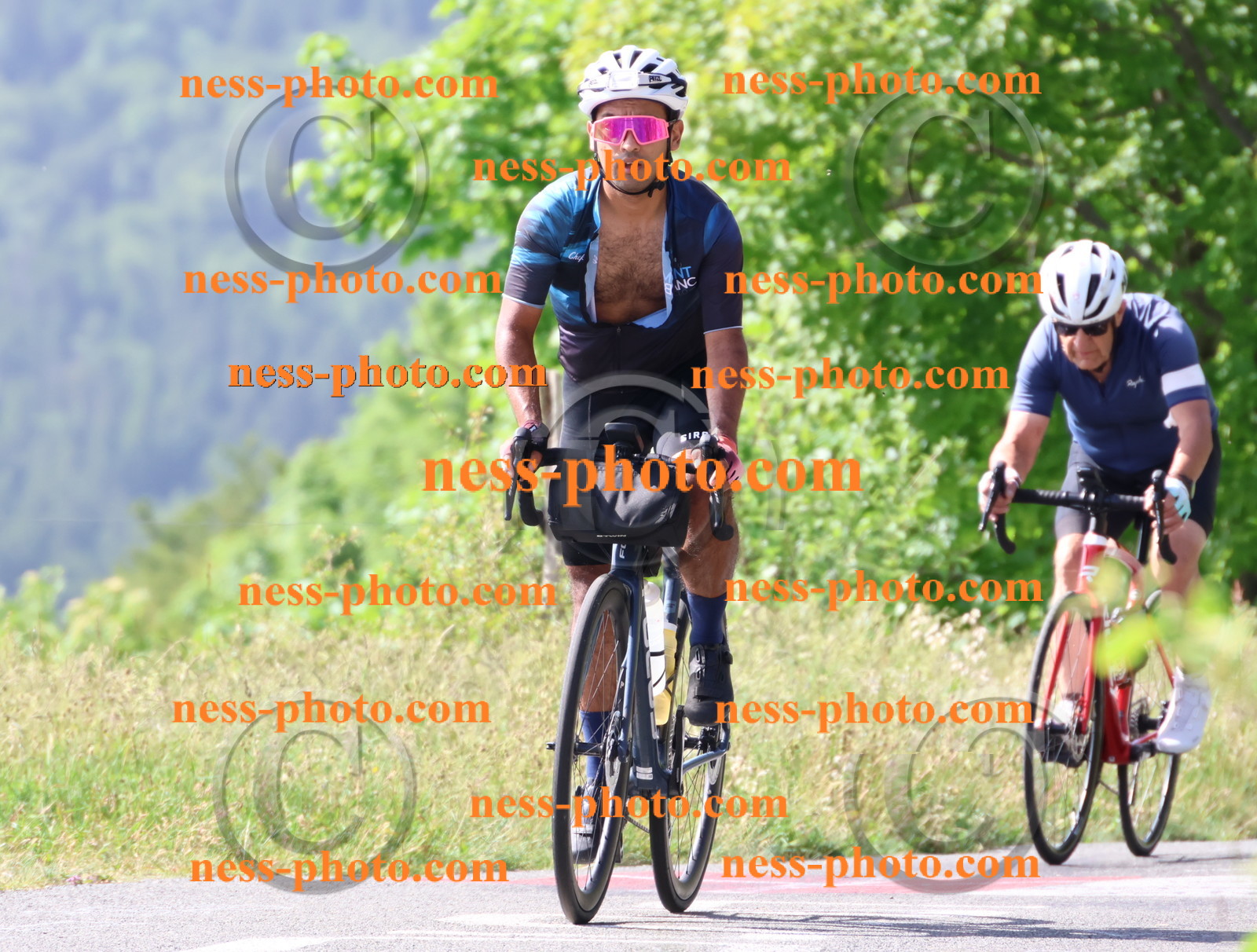 Col du grand Colombier (524).JPG