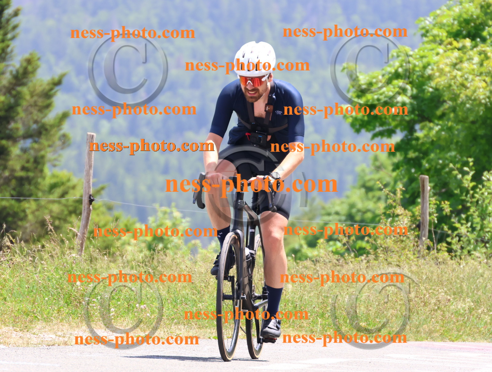 Col du grand Colombier (3207).JPG