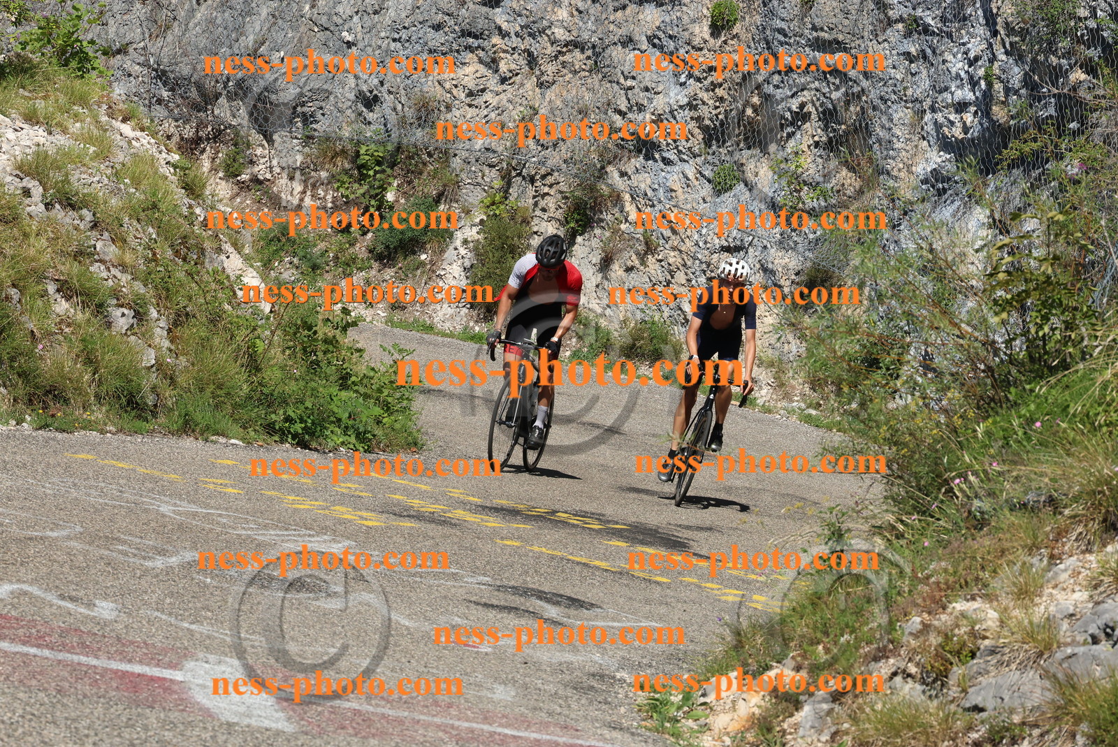 Col du Grand Colombier (399).JPG