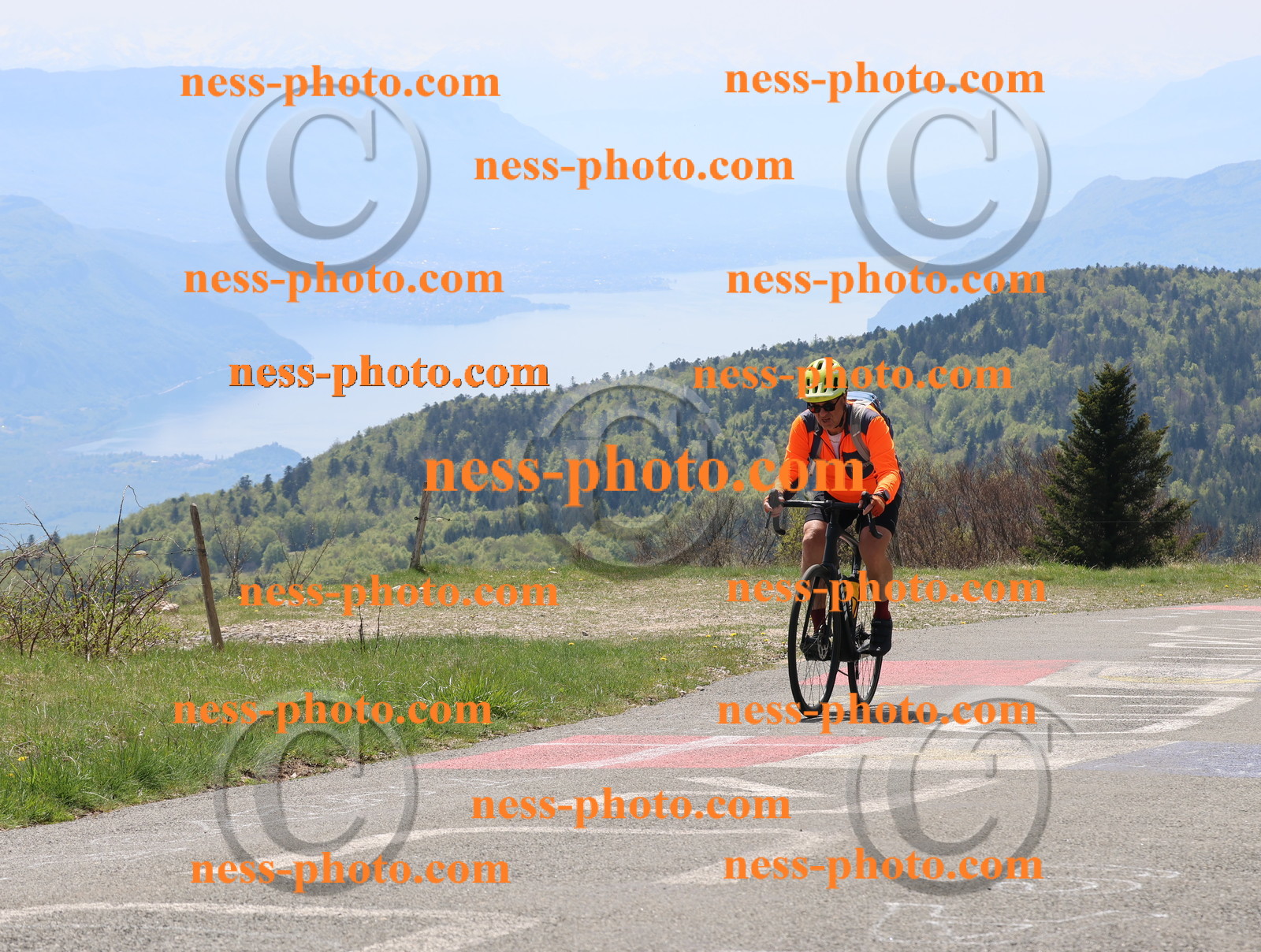 Col du Grand Colombier (162).JPG